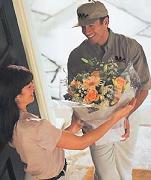 Ankara Siteler �i�ek�ilik