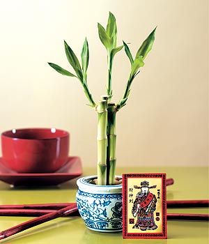 �zel ithal 3l� bambu tanzim