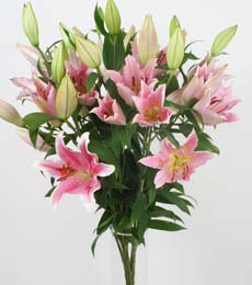 Ankara Karum i� ve al��veri� merkezi AVM ucuz �i�ek g�nder 5 Pembe lilyum kazablanka buket �i�ek modeli