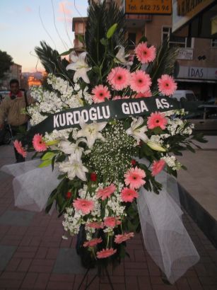 kazablanka,gerbera,sebboy ferforje Ankara Panora AVM �i�ek�i ma�azas�