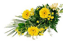 sari gerbera ve sari �i�ek  Ankara Nata Vega AVM �i�ek�iler
