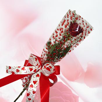 tek bir adet g�l seffafta  Ankara Panora AVM �i�ek�i ma�azas�