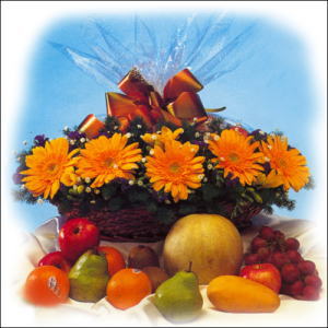 sepette gerbera ve meyvalar  Ankara Panora AVM �i�ek�i ma�azas�