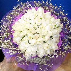 71 adet beyaz g�l buketi  Ankara K�z�lay Al��veri� Merkezi AVM �i�ek �i�ek�i , �i�ek�ilik 