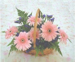 gerbera �i�eklerinde sepet  Ankara Antares Al��veri� merkezi AVM �i�ek yolla