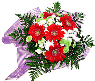 gerbera ve krizantem demeti Ankara Panora AVM �i�ek�i ma�azas�