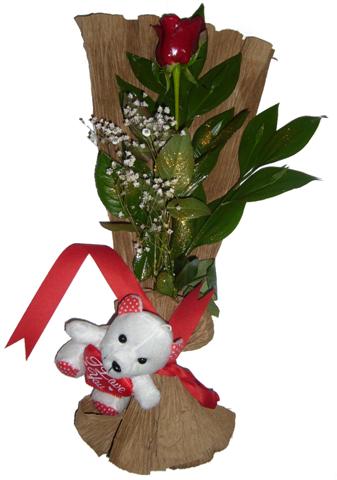 1 adet kirmizi g�l ve pelus oyuncak