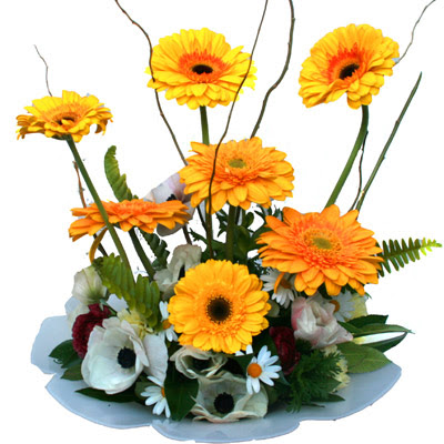 camda gerbera ve mis kokulu kir �i�ekleri Ankara Ankamall AVM �i�ek�i telefonlar�