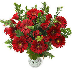 5 adet kirmizi g�l 5 adet gerbera aranjmani Ankara Forum Outlet AVM �i�ek�i �i�ek sipari�i
