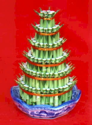 Lucky Bamboo sans melegi �i�egi Ankara Cepa Al��veri� Merkezi AVM �i�ek�iler