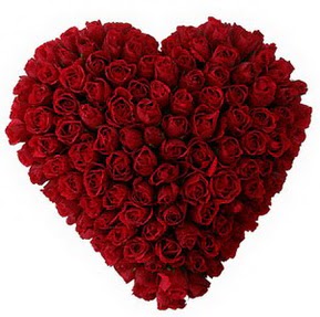 Ankara Panora AVM �i�ek�i ma�azas� muhte�em k�rm�z� g�llerden kalp �i�e�i