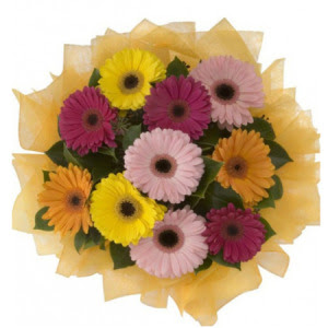 Ankara Nata Vega AVM �i�ek�iler 11 adet kar���k gerbera �i�e�i buketi