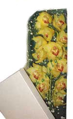 Panora AVM Ankara �i�ek g�nderme Kutu i�erisine dal cymbidium orkide