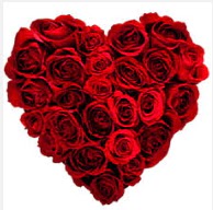 Ankara Optimum AVM �i�ek�i adresleri telefonlar� 19 adet k�rm�z� g�lden kalp tanzimi