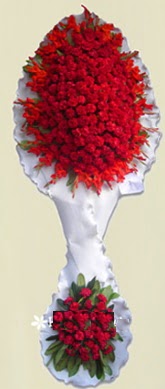 �ift katl� k�pk�rm�z� d���n a��l�� �i�e�i Ankara Akvaryum AVM �i�ek yolla
