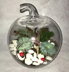 K���k terrarium elma 3 kakt�s Ankara G�lba�� �ar�� AVM �i�ek ma�azas� , �i�ek�i adresleri