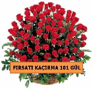  BU KAMPANYA KA�MAZ GER�EK �THAL G�L 101 ADET