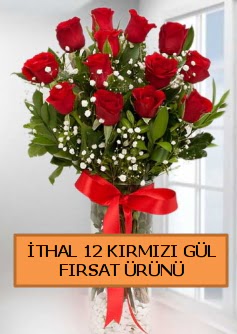  �thal k�rm�z� 12 adet kaliteli g�l Ankara Karum i� ve al��veri� merkezi AVM ucuz �i�ek g�nder