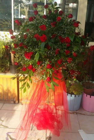 71 adet k�rm�z� g�lden ferf�rje �i�e�i Ankara Taurus AVM �i�ek�iler �i�ek sat���