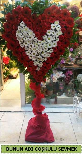 Co�kulu bir a�k �i�e�i Ankara Karum i� ve al��veri� merkezi AVM ucuz �i�ek g�nder