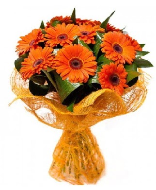 11 adet turuncu gerbera buketi Ankara Cepa Al��veri� Merkezi AVM �i�ek�iler