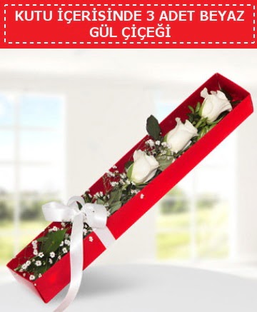 Kutu i�erisinde 3 adet beyaz g�l �i�e�i Ankara Podium AVM  cicek , cicekci 