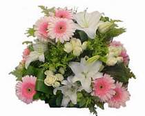 Ankara G�lba�� Evsa Y�lpa AVM kaliteli taze ve ucuz �i�ekler G�l kazablanka gerbera sepet �i�ek modeli
