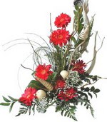 Ankara G�lba�� Evsa Y�lpa AVM kaliteli taze ve ucuz �i�ekler Kirmizi gerbera �zel tanzim