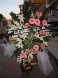 kazablanka,gerbera,sebboy ferforje Ankara Panora AVM �i�ek�i ma�azas�
