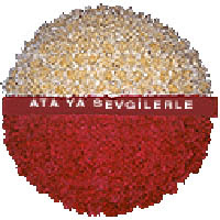 arma anitkabire - mozele i�in Ankara FTZ Al��veri� merkezi AVM �i�ek�iler �i�ek g�nder
