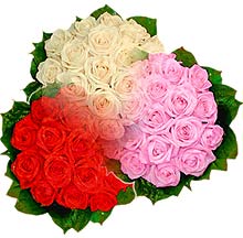3 renkte g�l seven sever  Ankara K�z�lay Al��veri� Merkezi AVM �i�ek �i�ek�i , �i�ek�ilik 