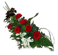 7 adet g�l ve kazablanka  Ankara Karum i� ve al��veri� merkezi AVM ucuz �i�ek g�nder