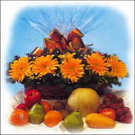 sepette gerbera ve meyvalar  Ankara Panora AVM �i�ek�i ma�azas�