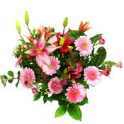 lilyum ve gerbera �i�ekleri - �i�ek se�imi - Panora AVM Ankara �i�ek g�nderme
