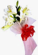 Ankara K�z�lay Al��veri� Merkezi AVM �i�ek �i�ek�i , �i�ek�ilik  ince vazoda gerbera ve ayi