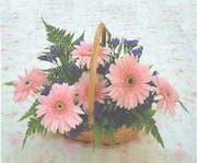 gerbera �i�eklerinde sepet  Ankara Antares Al��veri� merkezi AVM �i�ek yolla