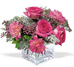Ankara Acity Premium Outlet AVM cicekciler , cicek siparisi cam i�erisinde 5 g�l 7 gerbera �i�egi