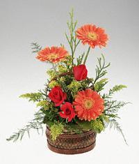 Ankara Acity Premium Outlet AVM cicekciler , cicek siparisi sepet i�erisinde 3 g�l ve 3 gerbera tanzimi