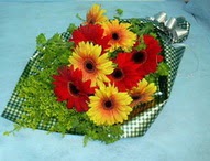 t�l i�erisinde gerbera �i�ekleri 11 adet Ankara Podium AVM  cicek , cicekci 