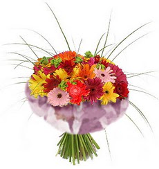 karisik gerbera demeti 15 adet gerberalardan Ankara Panora AVM �i�ek�i ma�azas�
