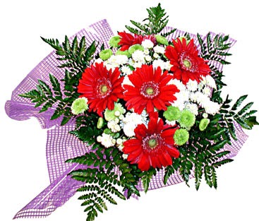 gerbera ve krizantem demeti Ankara Panora AVM �i�ek�i ma�azas�