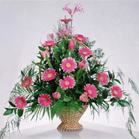 gerbera �i�eklerinden sepet tanzimi Ankara G�lba�� �ar�� AVM �i�ek ma�azas� , �i�ek�i adresleri