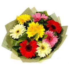 9 adet karisik gerbera demeti Ankara G�lba�� �ar�� AVM �i�ek ma�azas� , �i�ek�i adresleri