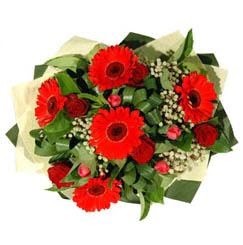 Ankara Karum i� ve al��veri� merkezi AVM ucuz �i�ek g�nder  5 adet kirmizi g�l 5 adet gerbera demeti