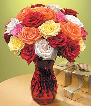 Ankara Akvaryum AVM �i�ek yolla 13 adet renkli g�l 