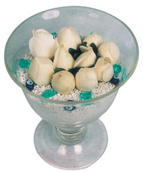 Ankara Panora AVM �i�ek�i ma�azas� Cam i�erisinde 9 adet beyaz g�l aranjmani