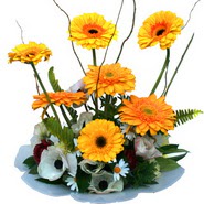 camda gerbera ve mis kokulu kir �i�ekleri Ankara Ankamall AVM �i�ek�i telefonlar�