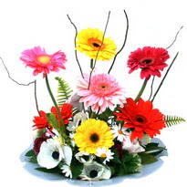 Ankara Forum Outlet AVM �i�ek�i �i�ek sipari�i camda gerbera ve mis kokulu kir �i�ekleri 
