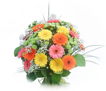 13 adet gerbera �i�egi buketi Ankara Gordion Al��veri� Merkezi AVM online �i�ek g�nderme sipari�