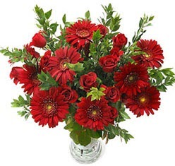 5 adet kirmizi g�l 5 adet gerbera aranjmani Ankara Forum Outlet AVM �i�ek�i �i�ek sipari�i
